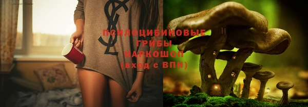 герыч Иннополис