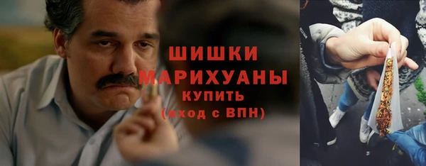 эйфоретик Инта