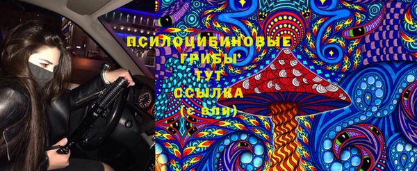 герыч Иннополис