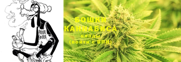 герыч Иннополис