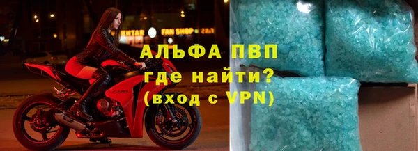 эйфоретик Инта