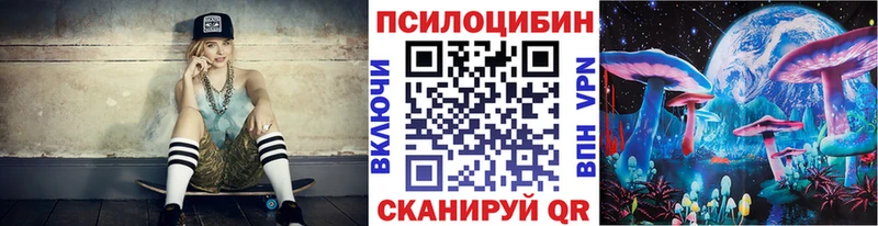 Купить закладки  Бирюсинск  Галлюциногенные грибы Psilocybine cubensis 